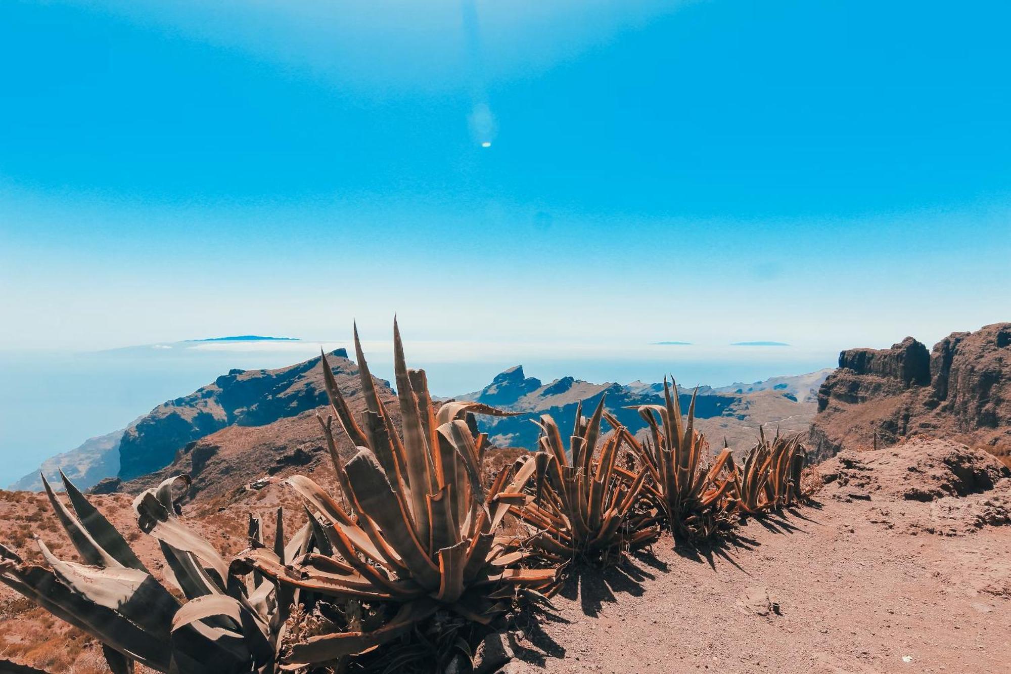 New Apartment In Tenerife Коста-дель-Сіленсіо Екстер'єр фото